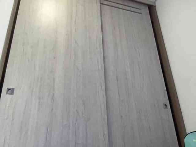 RevySadashiTrue webcam