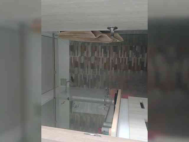 RevySadashiTrue webcam