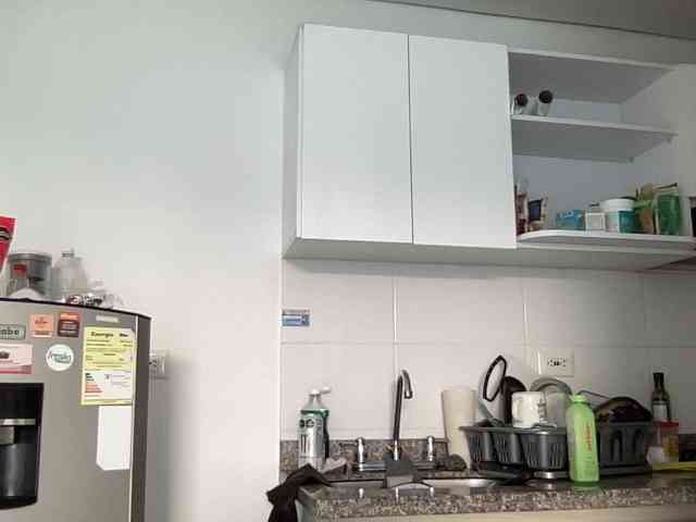 RevySadashiTrue webcam