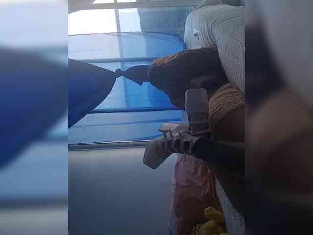 RevySadashiTrue webcam