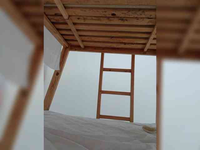 RevySadashiTrue webcam