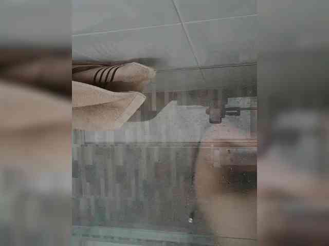 RevySadashiTrue webcam