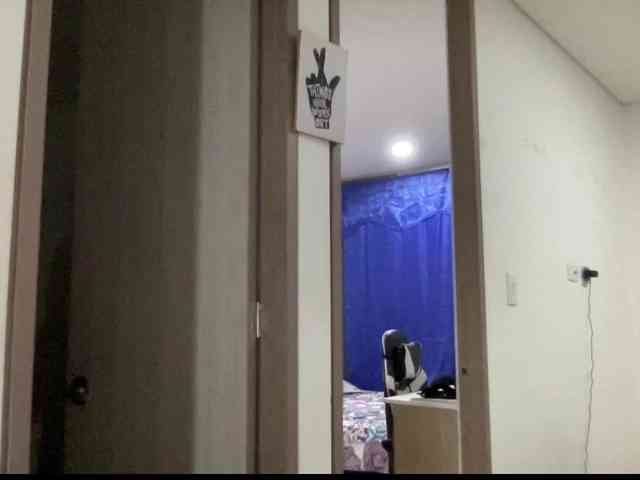 RevySadashiTrue webcam