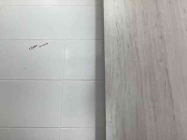 RevySadashiTrue webcam