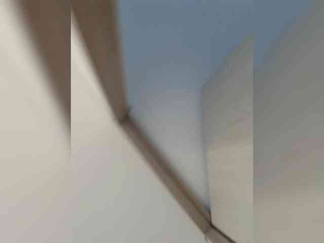 RevySadashiTrue webcam