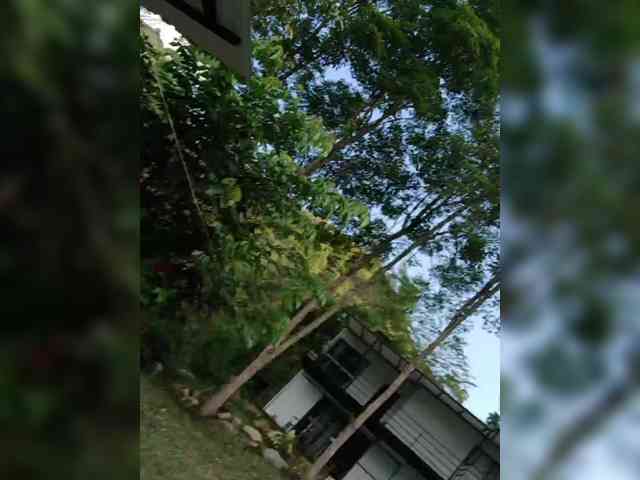 RevySadashiTrue webcam