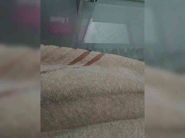 RevySadashiTrue webcam