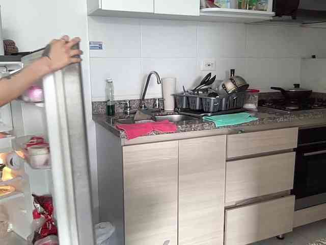 RevySadashiTrue webcam