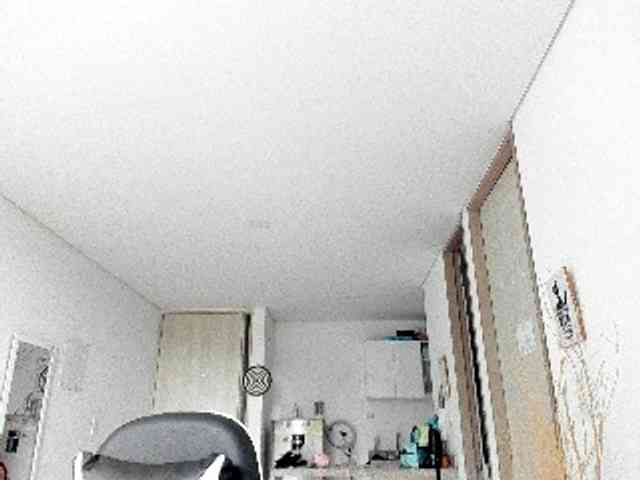 RevySadashiTrue webcam