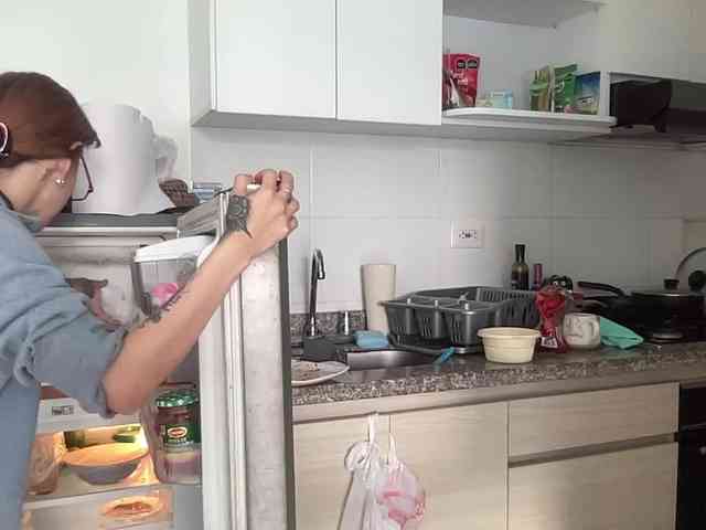 RevySadashiTrue webcam