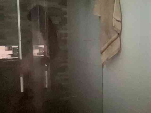 RevySadashiTrue webcam