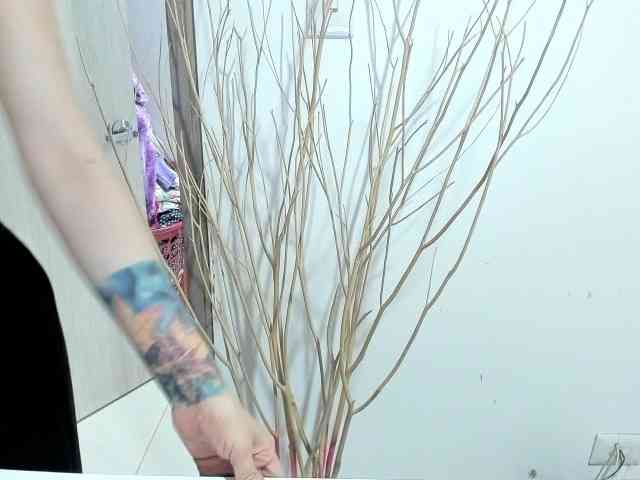 RevySadashiTrue webcam