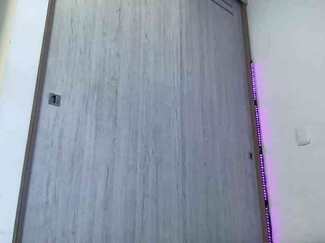 RevySadashiTrue webcam