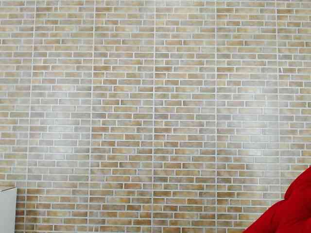 sharon-greey webcam