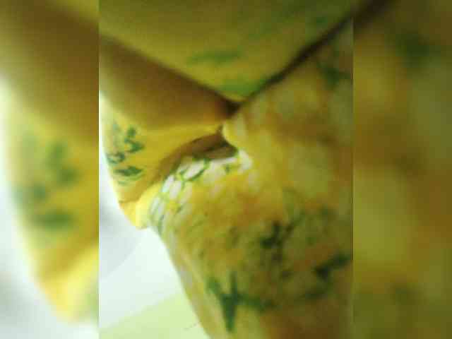 Pakhi