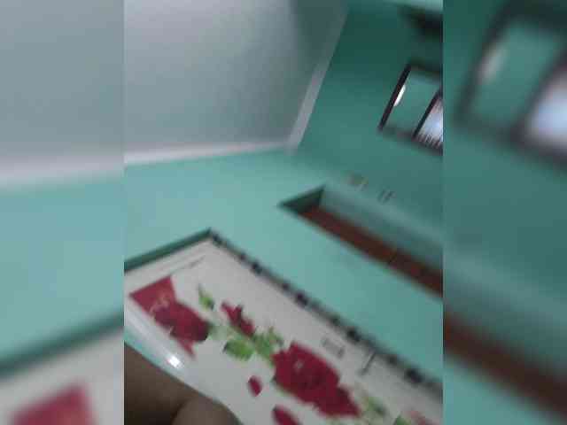 Pakhi webcam
