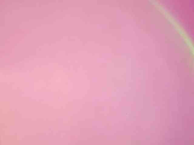 ViolettaRosse webcam
