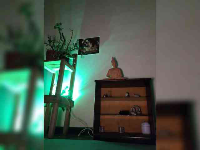 Elien-cafe webcam