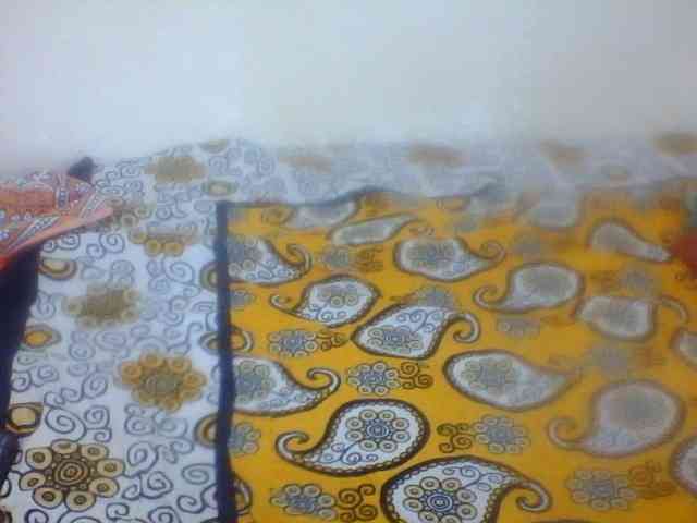 Rugermaya webcam
