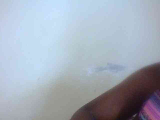 Rugermaya webcam