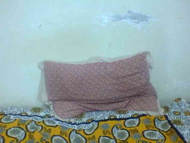 Rugermaya webcam