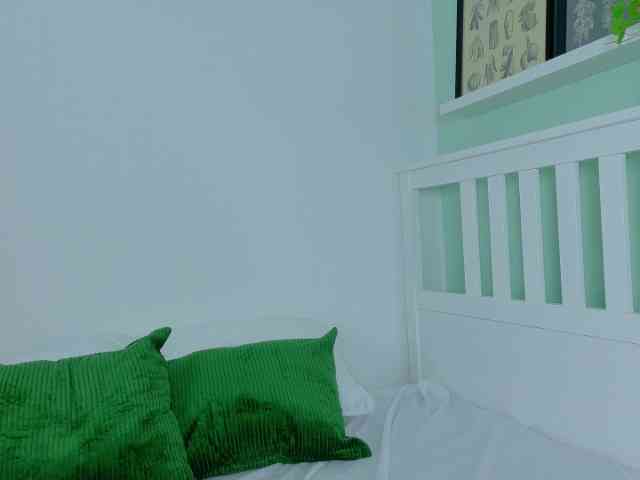 ALASKA-JONES webcam