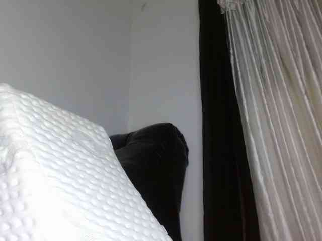 yessika-bustamante yessika-bustamante