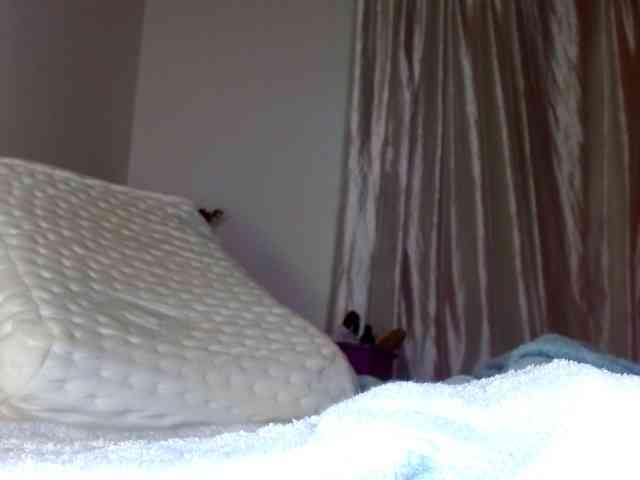 yessika-bustamante webcam