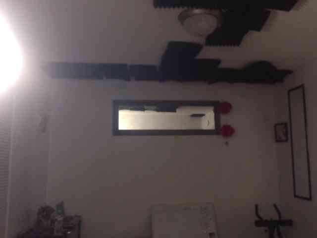 SeemaPatel webcam