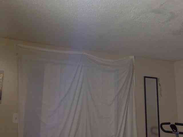 SeemaPatel webcam