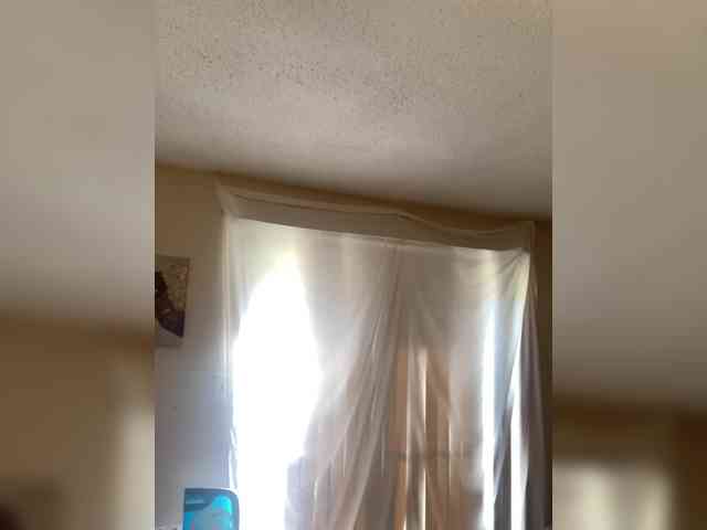 SeemaPatel webcam