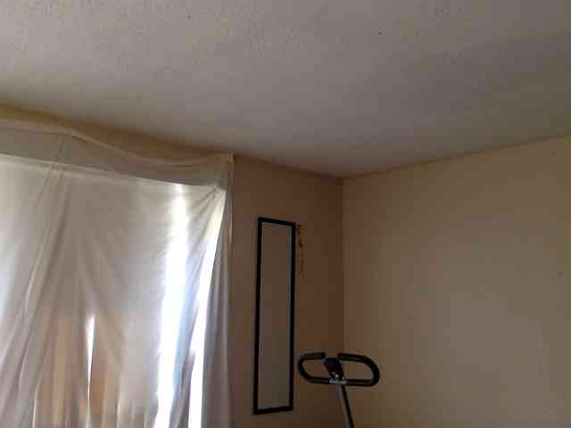 SeemaPatel webcam