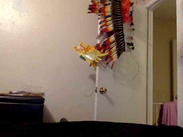 SeemaPatel webcam