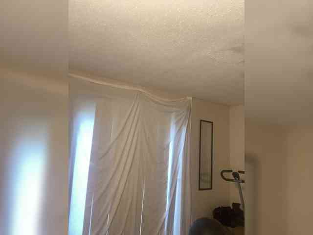 SeemaPatel webcam