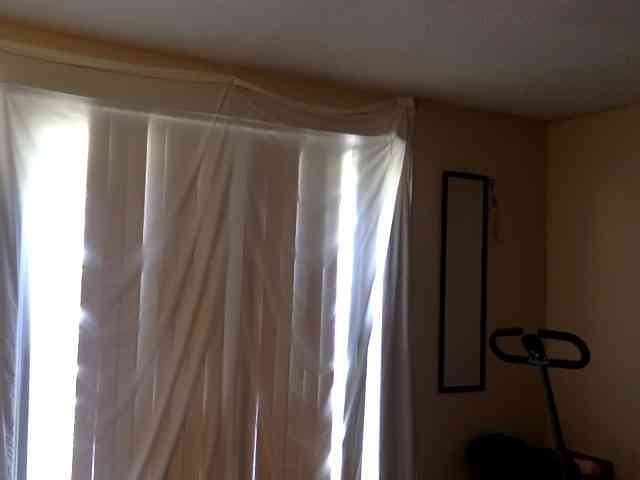 SeemaPatel webcam