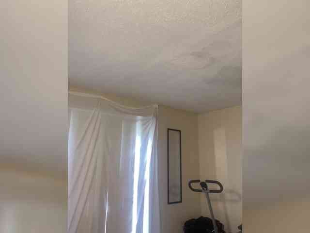 SeemaPatel webcam