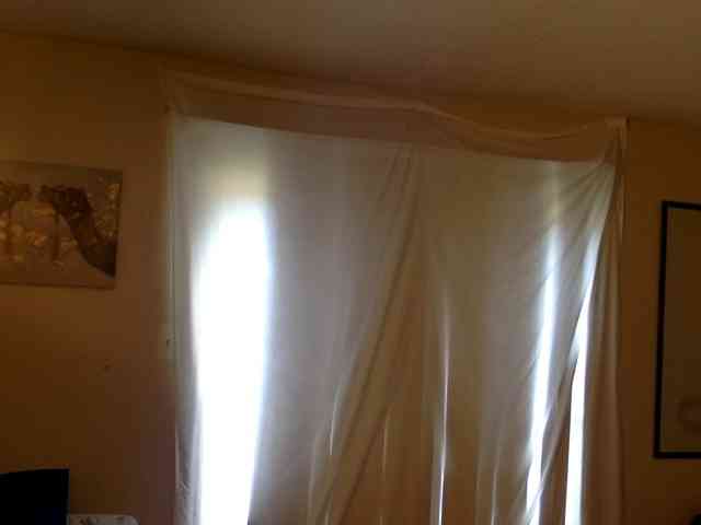 SeemaPatel webcam