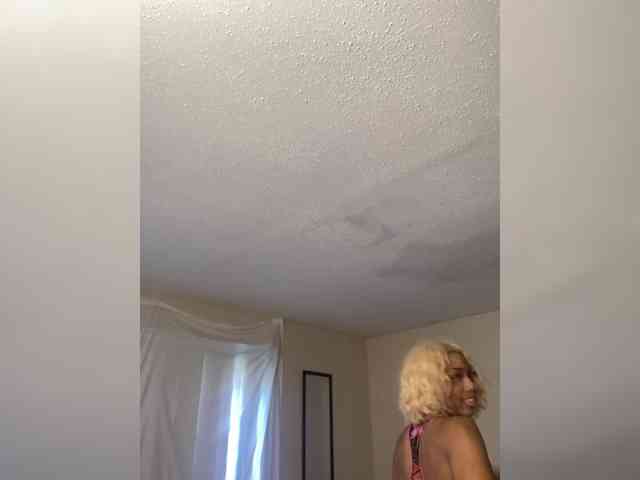 SeemaPatel webcam