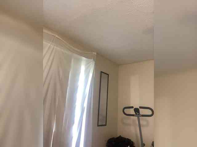 SeemaPatel webcam