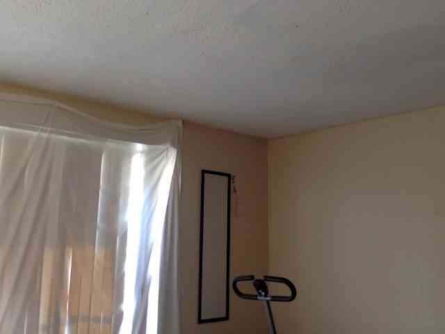 SeemaPatel webcam