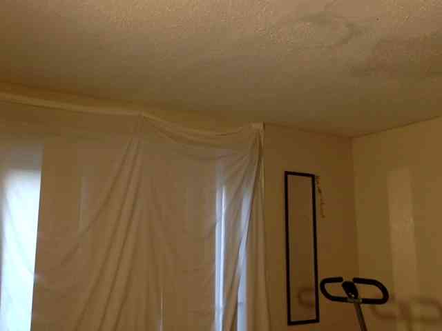 SeemaPatel webcam