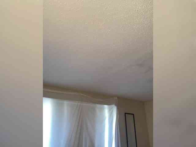 SeemaPatel webcam