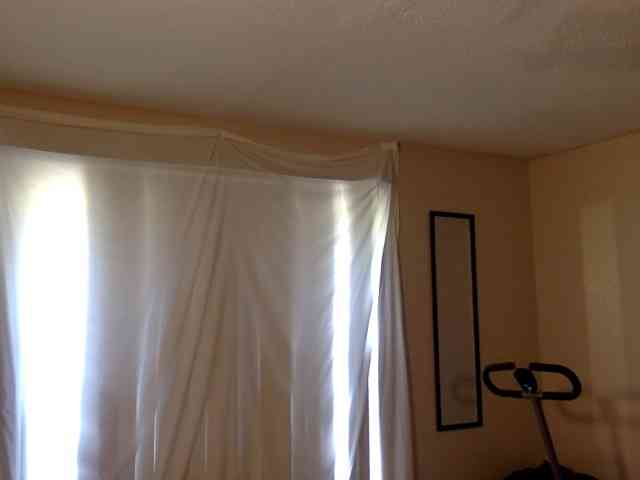 SeemaPatel webcam