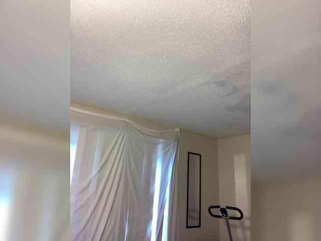 SeemaPatel webcam