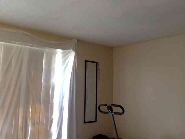 SeemaPatel webcam