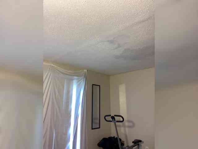SeemaPatel webcam