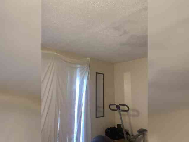 SeemaPatel webcam
