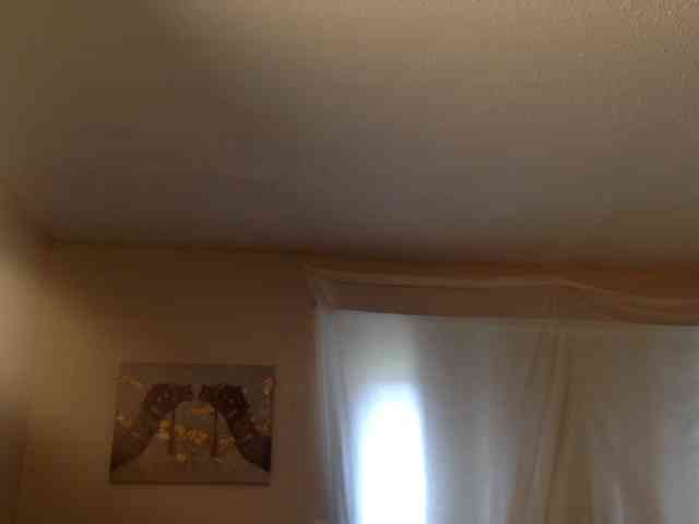 SeemaPatel webcam