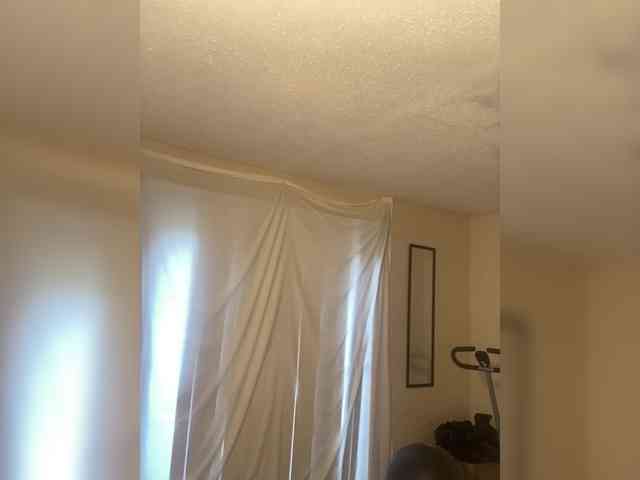 SeemaPatel webcam