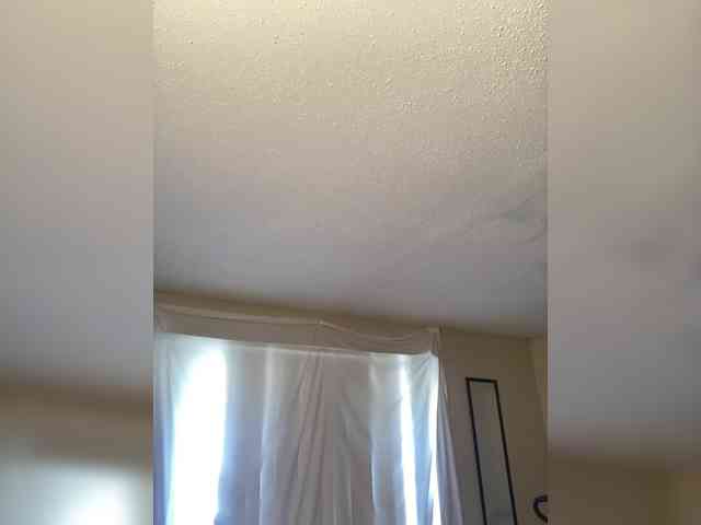 SeemaPatel webcam